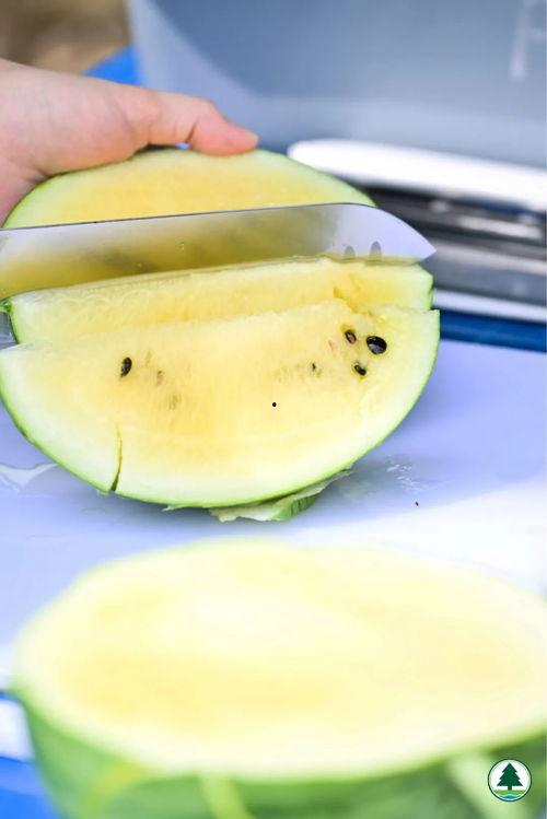 香港队吃瓜,揭秘背后的真相与争议