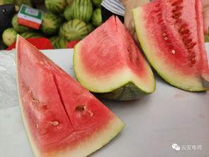 龙湾全民吃瓜,全民共赴吃瓜盛宴