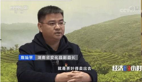 县长直播吃瓜视频,揭秘幕后故事