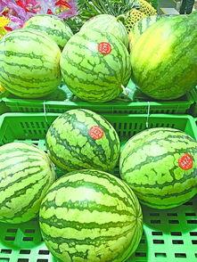 武汉吃瓜网,揭秘武汉街头美食风云录