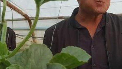 农民地头吃瓜,农民地头吃瓜的悠闲时光