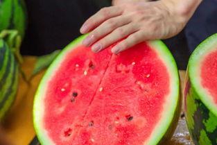 西安吃瓜大学,大学生们的趣味生活剪影