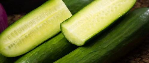 乳瓜可以减肥吃吗,天然低卡美食助你轻松瘦身