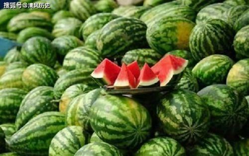 有瓜不吃瓜专吃瓜尖儿,揭秘“有瓜不吃瓜”的独特食趣