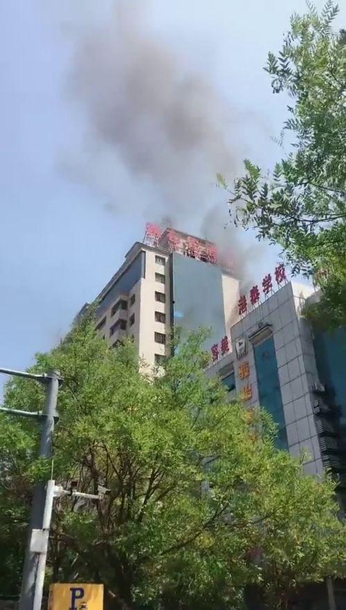 沧州楼顶吃瓜,全民共享夏日“吃瓜”盛宴