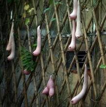 保定安国吃瓜,夏日吃瓜盛宴，品味传统与现代的交融