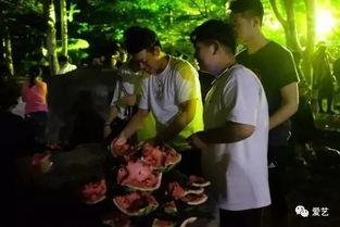 吃瓜学校事件最新,揭秘校园风波背后的真相与反思