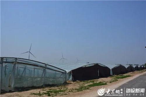 阳信吃瓜,揭秘网络热点的背后真相