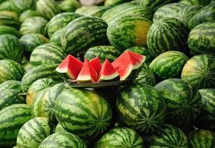 吃瓜吃爽,揭秘娱乐圈幕后真相