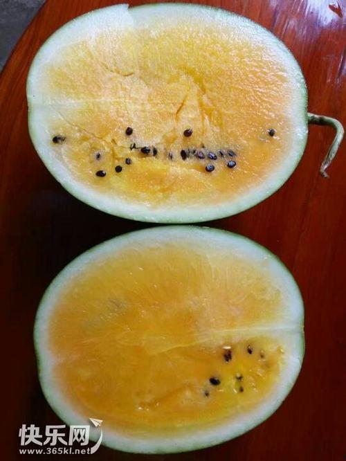 吃瓜吃爽,揭秘娱乐圈幕后真相