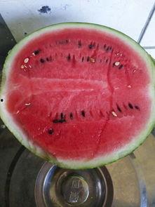 吃瓜号封了,吃瓜号被封背后的真相与反思”