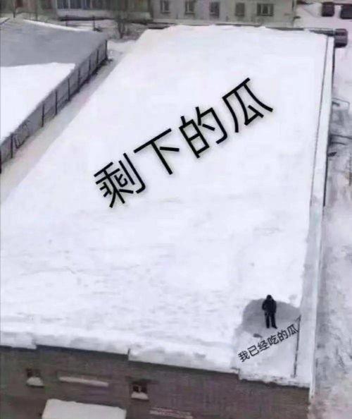 罗志翔吃瓜,揭秘娱乐圈幕后真相