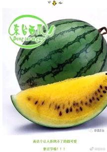 吃瓜东台,一场全民参与的美食盛宴