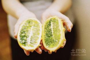 吃刺角瓜视频,舌尖上的异域风情