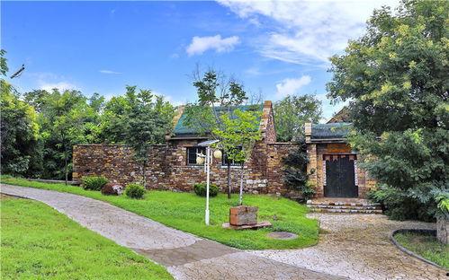 山东建筑大学吃瓜,揭秘校园生活趣味瞬间