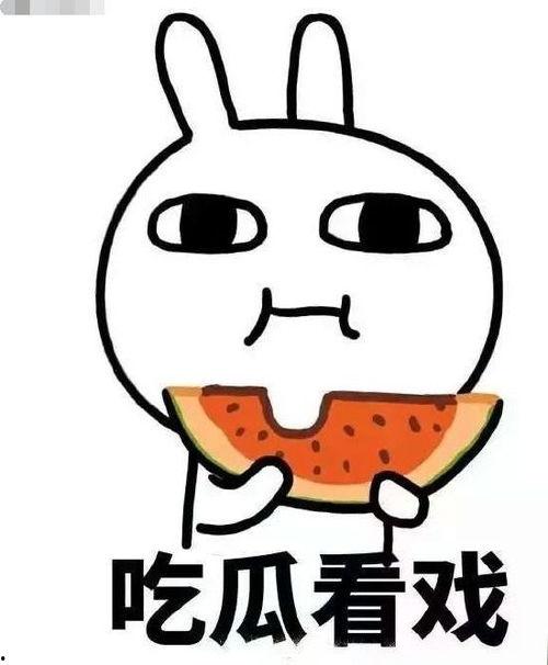 不能好奇心吃瓜,揭秘“好奇心吃瓜”背后的真相与风险