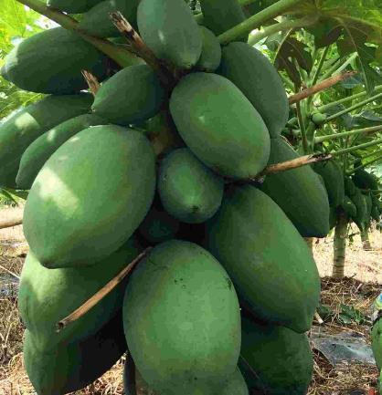 斑回头吃瓜,揭秘娱乐圈背后的秘密与八卦