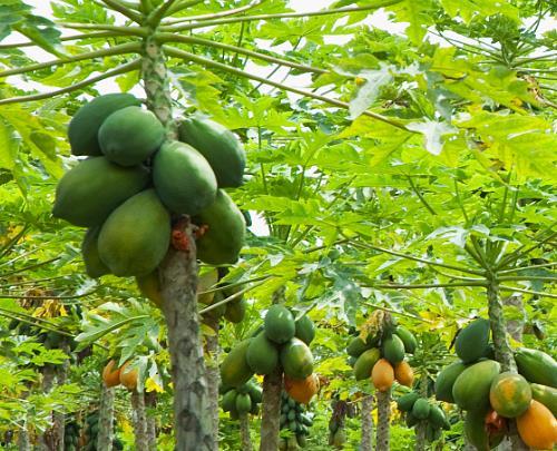 斑回头吃瓜,揭秘娱乐圈背后的秘密与八卦