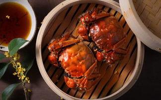 吃瓜的蓝螃蟹,揭秘吃瓜界的风云变幻