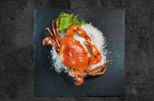 吃瓜的蓝螃蟹,揭秘吃瓜界的风云变幻