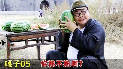 胖翻译化身吃瓜群众,揭秘娱乐圈幕后风云