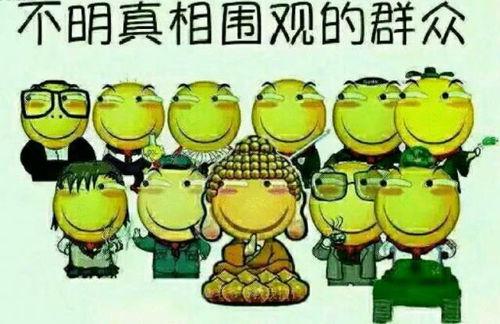 胖翻译化身吃瓜群众,揭秘娱乐圈幕后风云