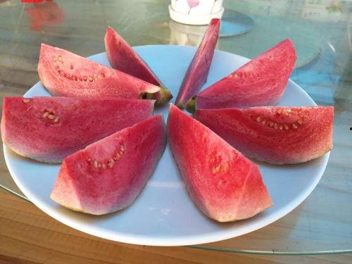 梦到摘各种熟瓜吃,探索摘瓜吃瓜的奇幻之旅