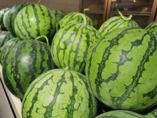 顶流秦朝吃瓜,揭秘顶流吃瓜背后的历史真相