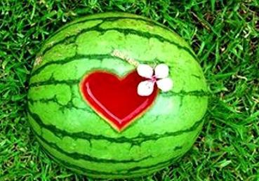 梦见看吃瓜,揭秘“看吃瓜”背后的神秘寓意