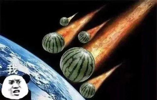 吃瓜听雨文案,听雨品瓜，一场别开生面的夏日盛宴